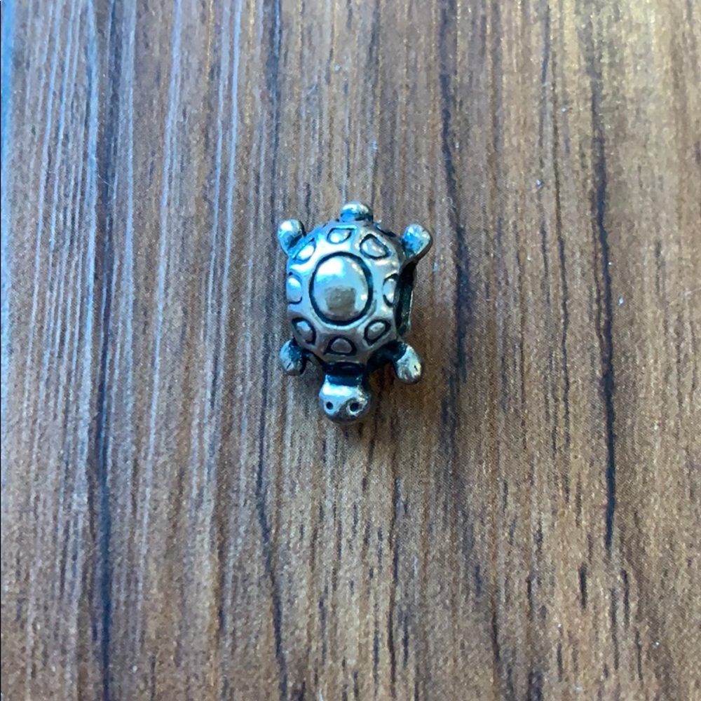 Pandora turtle charm